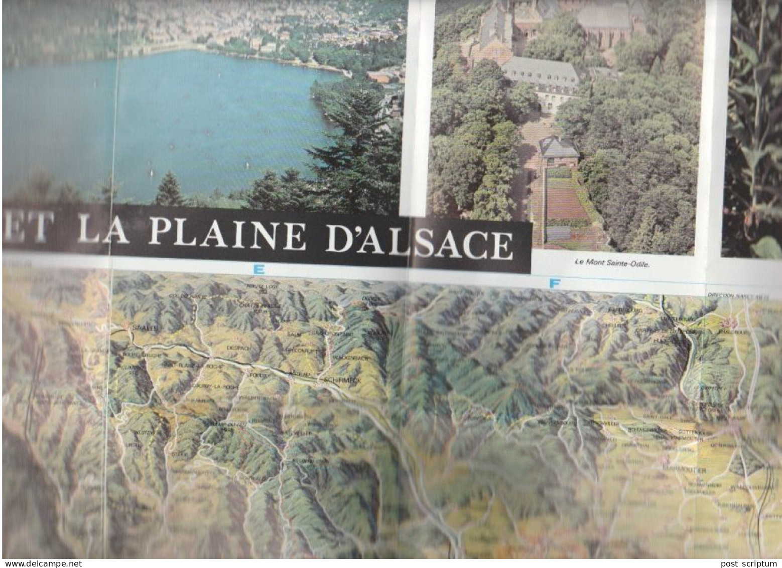 Livre - Avec Carte -  La Plaine D'Alsace Et Les Vosges à Vol D'oiseau - Alsace