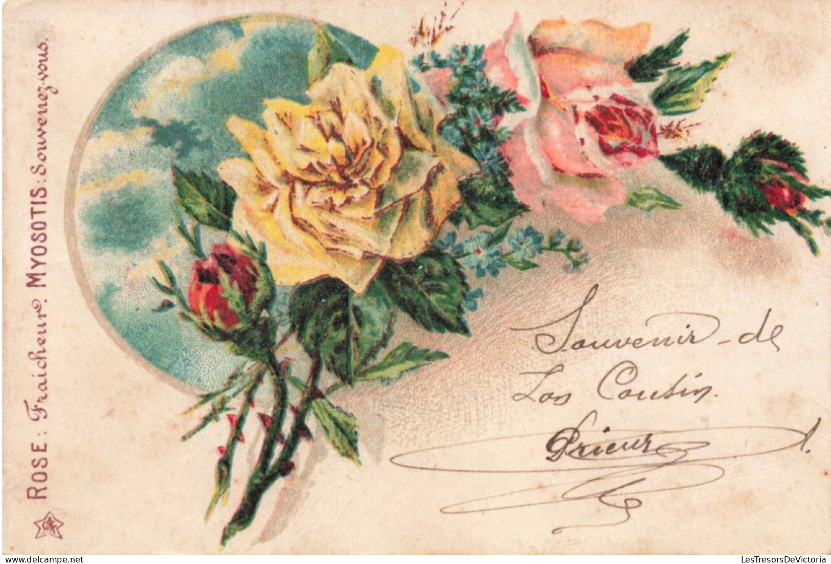 FLEURS - Rose - Fraîcheur - Colorisé - Carte Postale Ancienne - Bloemen