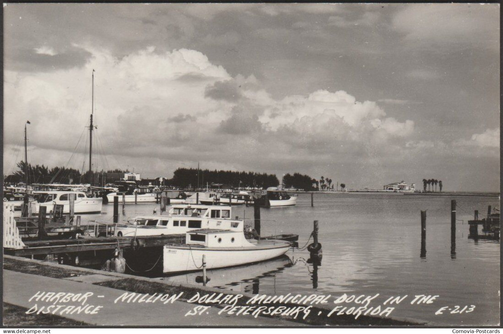 Harbor, St Petersburg, Florida, C.1930s - EKC RPPC - St Petersburg