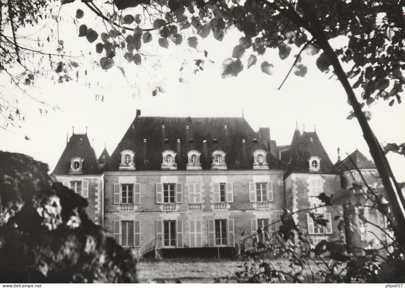 86 - DANGE - Centre De Promotion Sociale - Château De Piolant (CPSM 10,5X15) - Dange Saint Romain