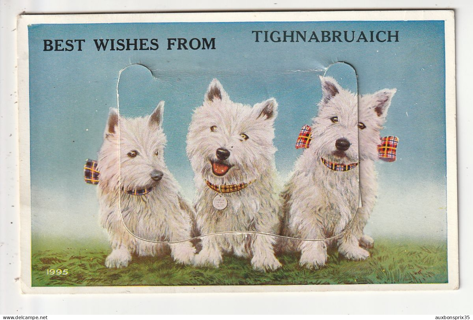 CARTE A SYSTEME - TIGHNABRUAICH - BEST WISHES FROM ... - Sonstige & Ohne Zuordnung