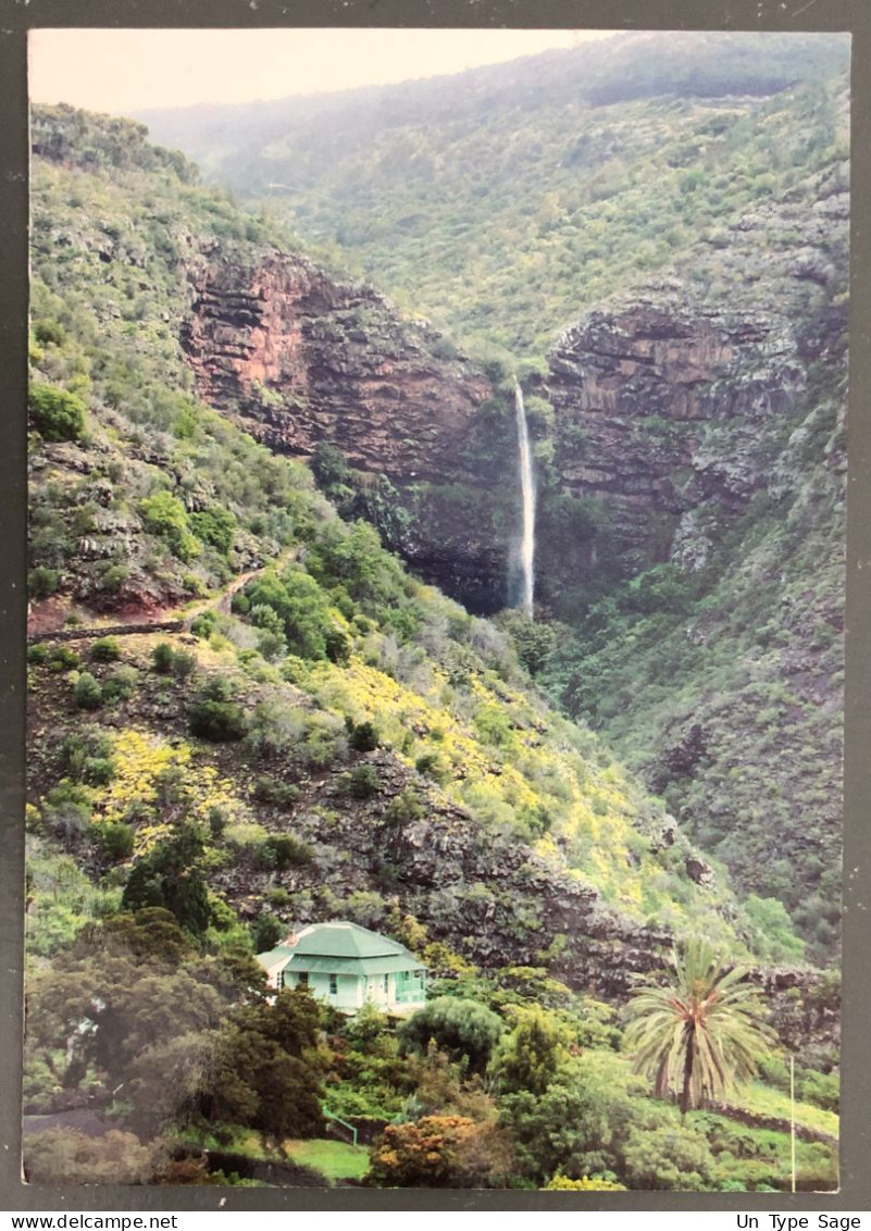 Afrique Du Sud, Carte Postale 13.1.2003 - (B2337) - Briefe U. Dokumente