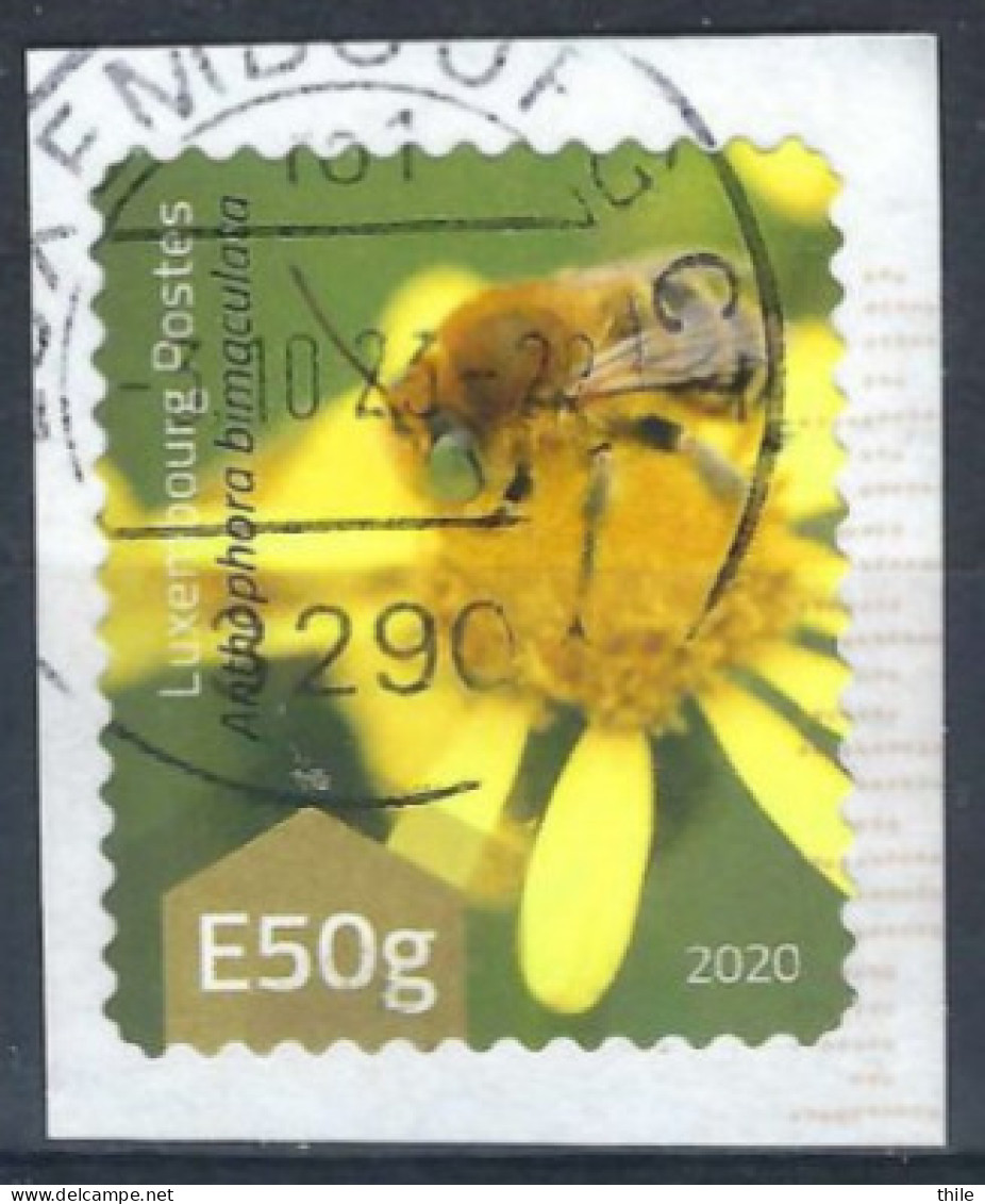 Mi 2253 (o) - Abeille Anthophora Bimaculata - Année 2020 - Used Stamps