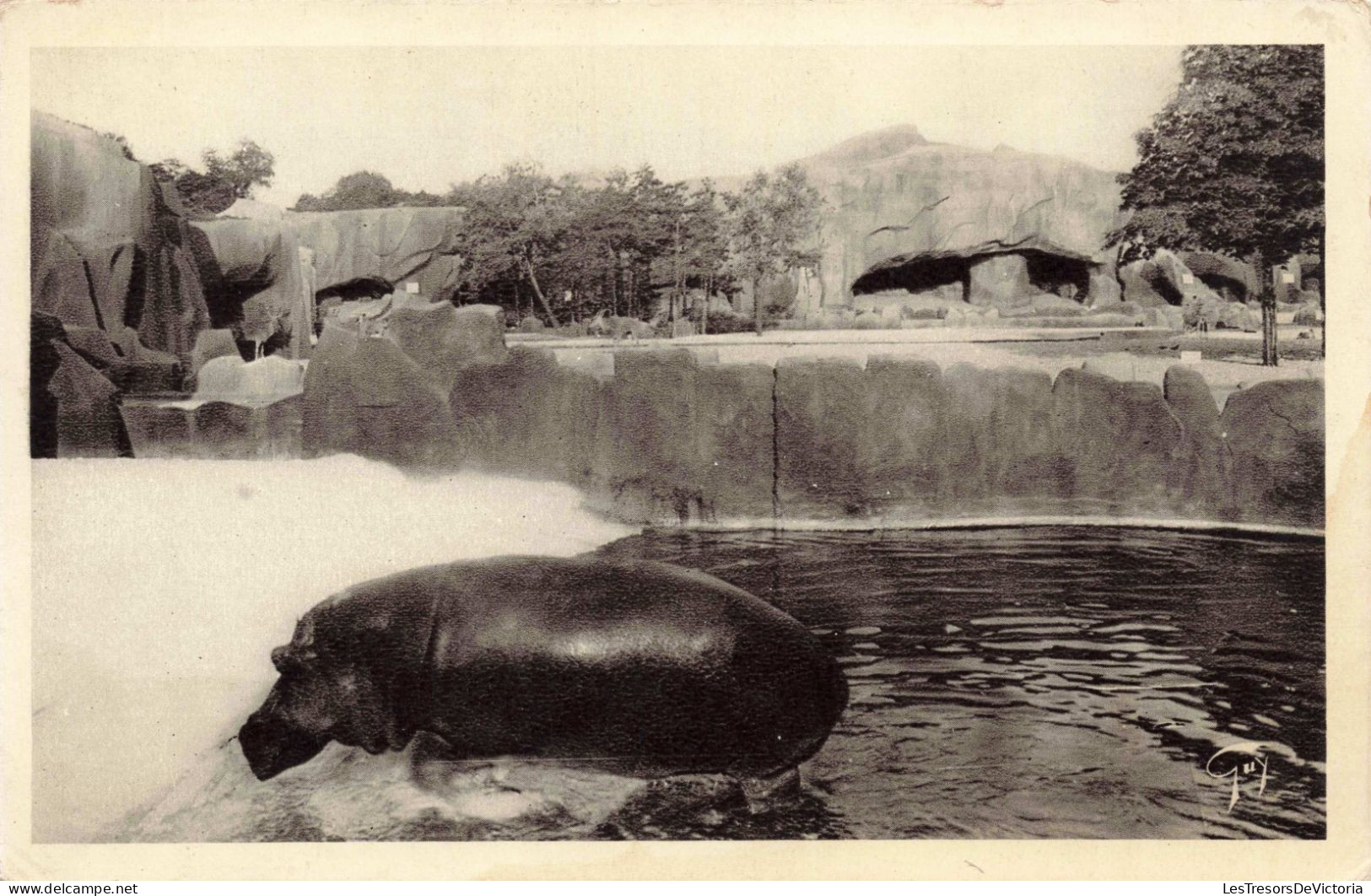 FRANCE - Paris - Jardin Zoologique De Vincennes - L'hippopotame Sortant Du Bain - Carte Postale Ancienne - Parks, Gärten