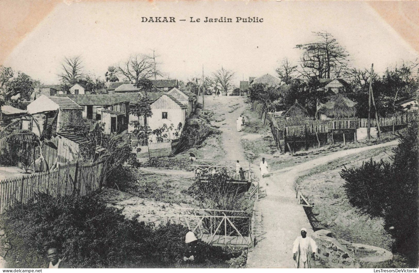 SENEGAL - Dakar - Le Jardin Public - Carte Postale Ancienne - Senegal