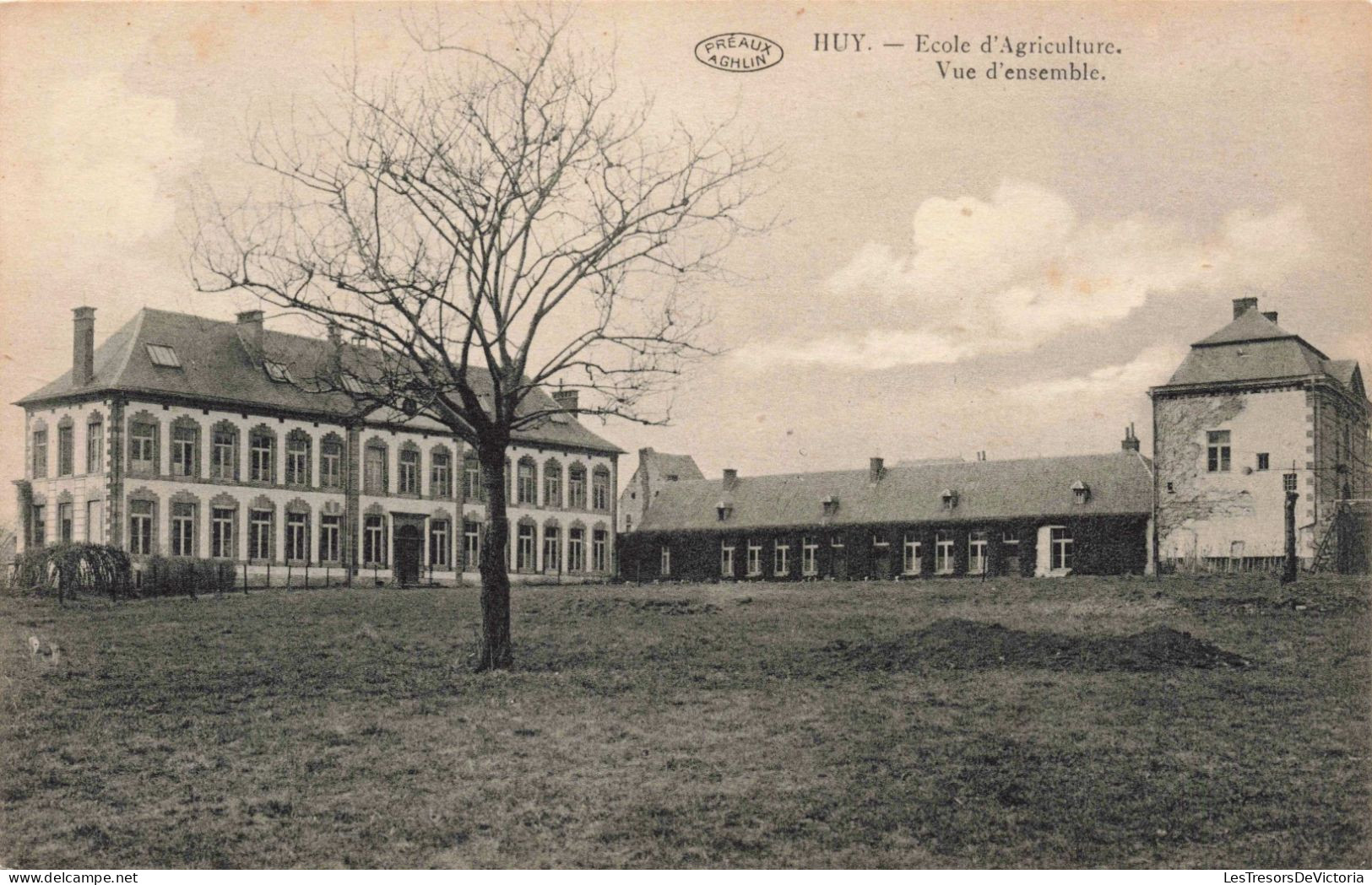BELGIQUE - Huy - Ecole D'agriculture - Vue D'ensemble - Carte Postale Ancienne - Huy