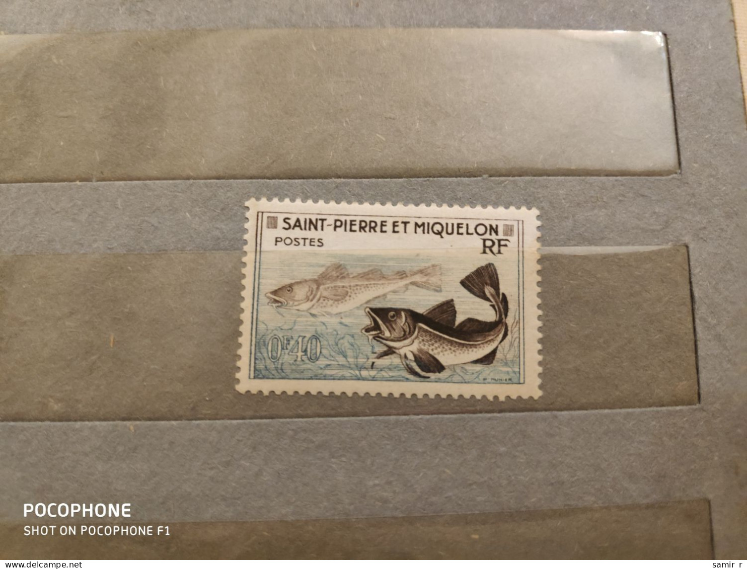 Miquelon	Fishes (F45) - Sonstige - Ozeanien