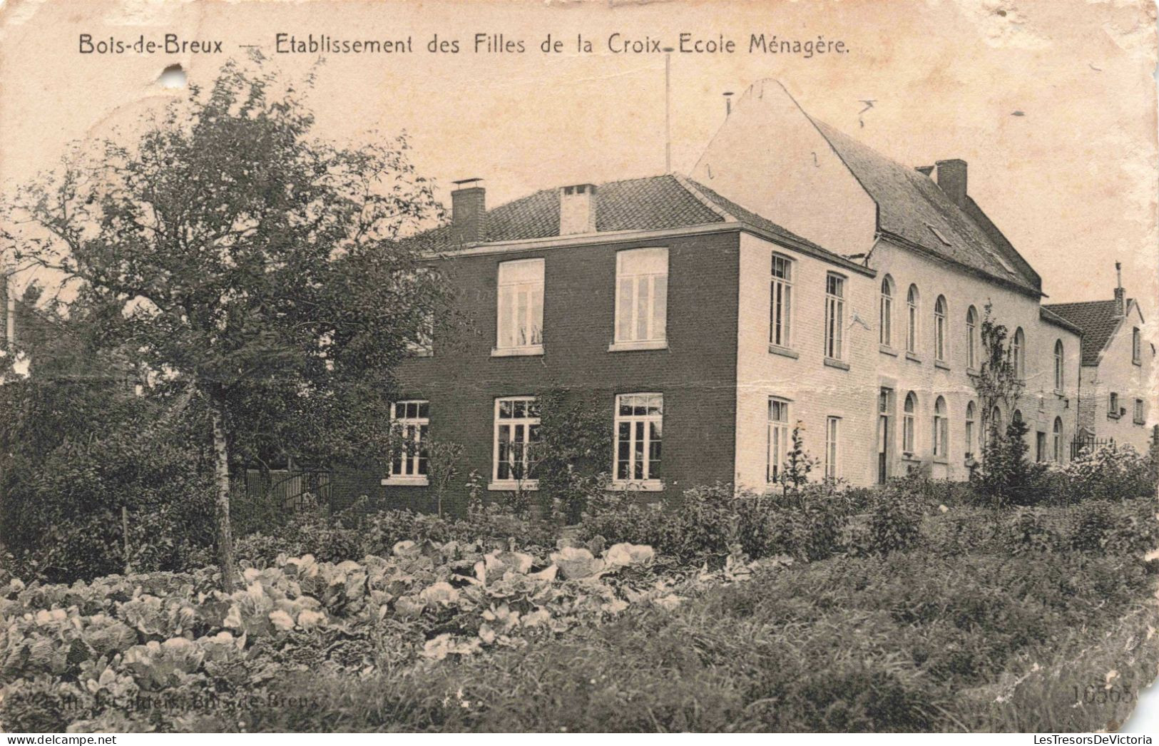 BELGIQUE - Bois-de-Breux - Etablissement Des Filles De La Croix - Ecole Ménagère - Carte Postale Ancienne - Sonstige & Ohne Zuordnung