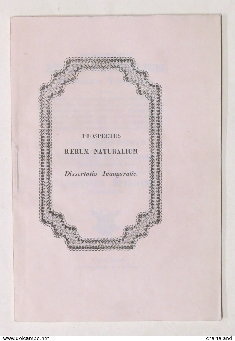 Prospectum Rerum Naturalium - Dissertazione Laurea Università Pavia - 1846 - Altri & Non Classificati