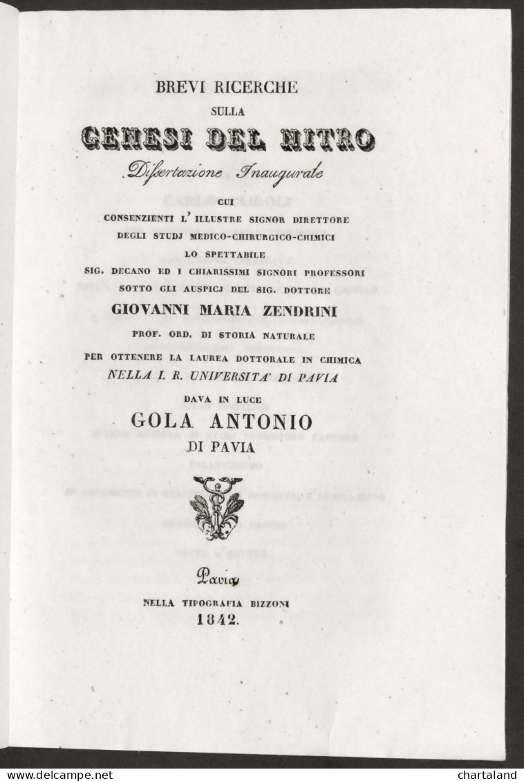 Brevi Ricerche Sulla Genesi Del Nitro - Dissertazione Laurea - Pavia 1842 - Altri & Non Classificati
