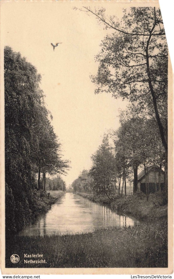 BELGIQUE - Anvers - Kasterlee - Nethezicht - Carte Postale Ancienne - Kasterlee