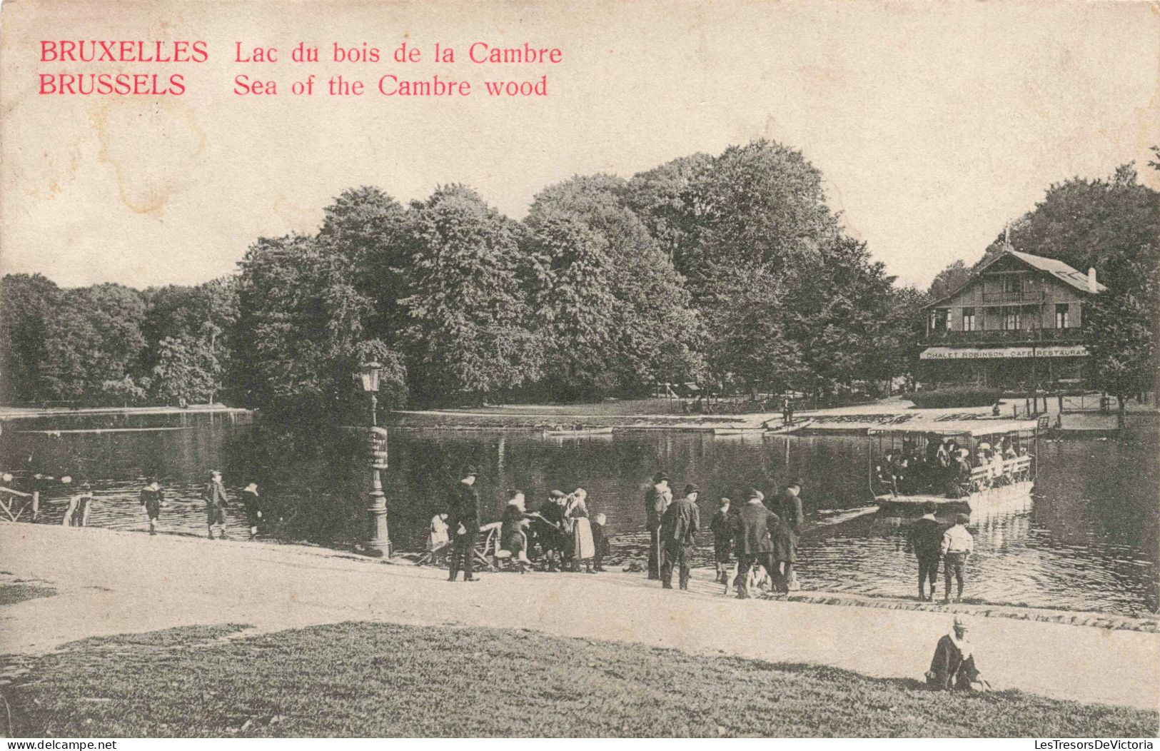 BELGIQUE - Bruxelles - Lac Du Bois De La Cambre - Carte Postale Ancienne - Forêts, Parcs, Jardins