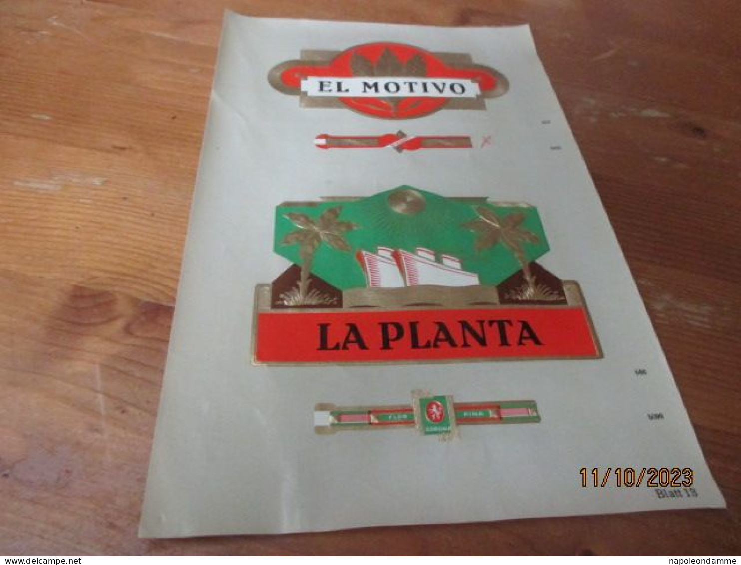 Etiketten Voorbeeldblad, 16 Cm X 25.50cm, El Motivo, La Planta - Labels