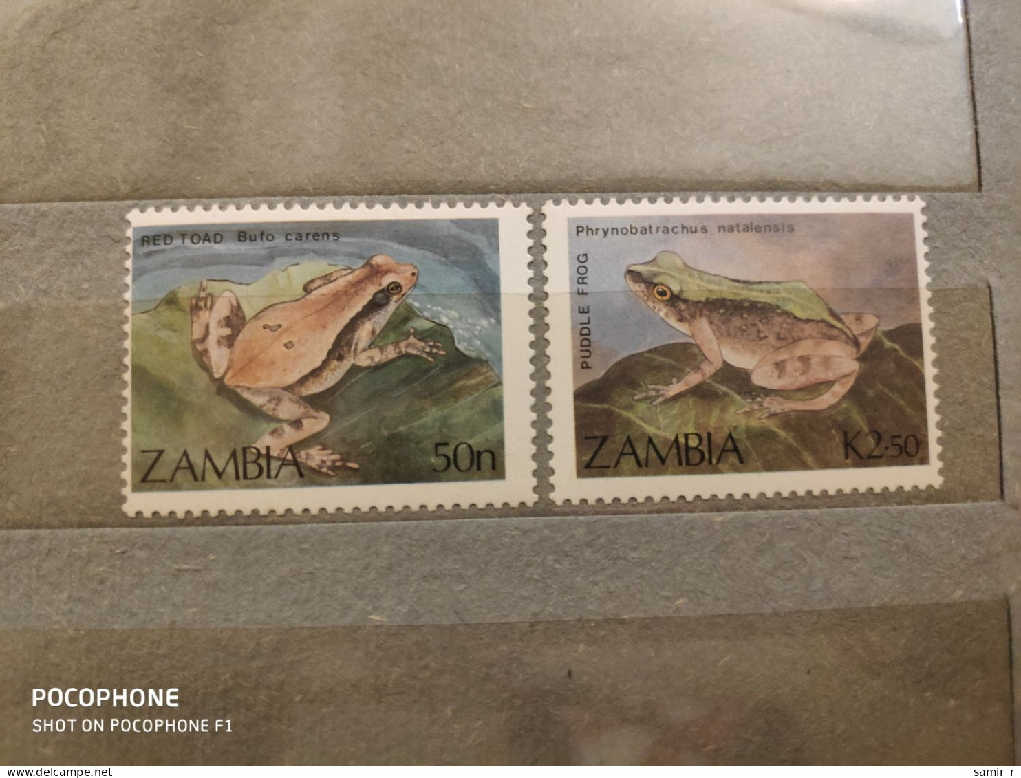 1989	Zambia	Frogs (F45) - Zambia (1965-...)