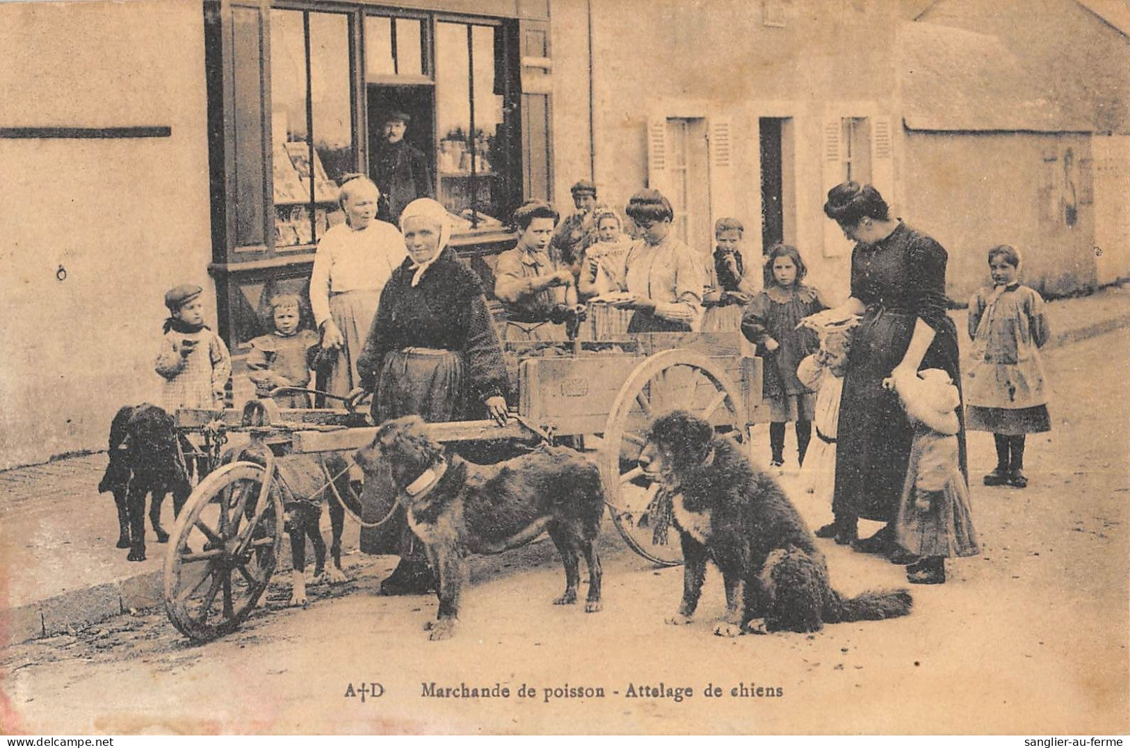 CPA 14 NORMANDIE / ATTELAGE DE CHIENS / MARCHANDE DE POISSON - Other & Unclassified