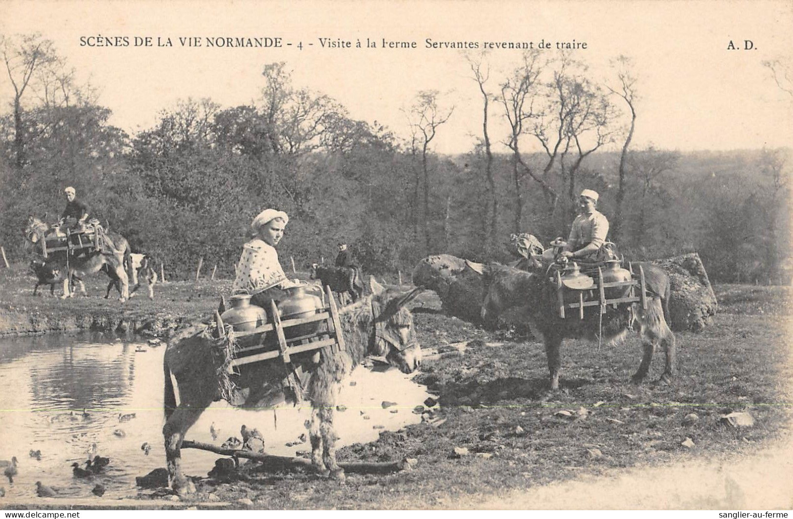 CPA 14 SCENES DE LA VIE NORMANDE / VISITE A LA FERME / SERVANTES REVENANT DE TRAIRE - Altri & Non Classificati