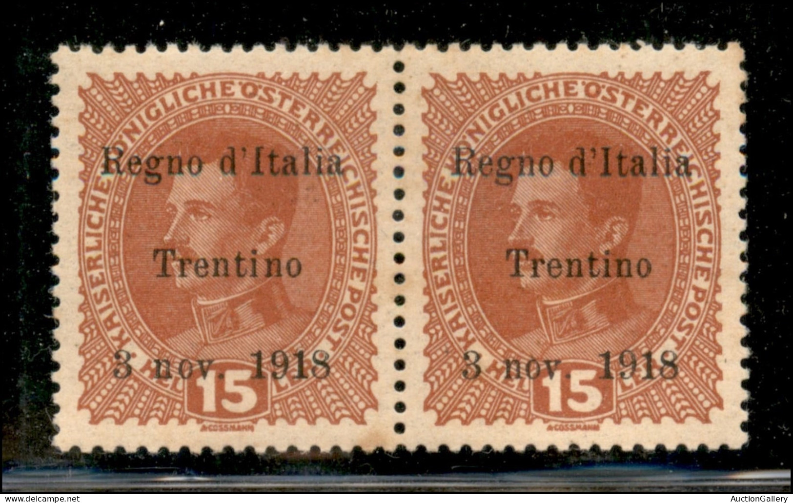 Occupazioni I Guerra Mondiale - Trentino-Alto Adige - 1918 - 15 Heller (6) - Coppia Orizzontale Con I Di Italia Diverso  - Sonstige & Ohne Zuordnung