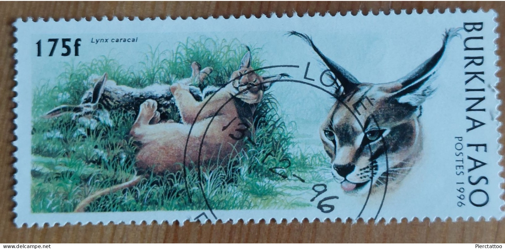 Lynx Caracal/Lynx Du Désert (Animaux) - Burkina Faso - 1996 -YT 1001 - Burkina Faso (1984-...)