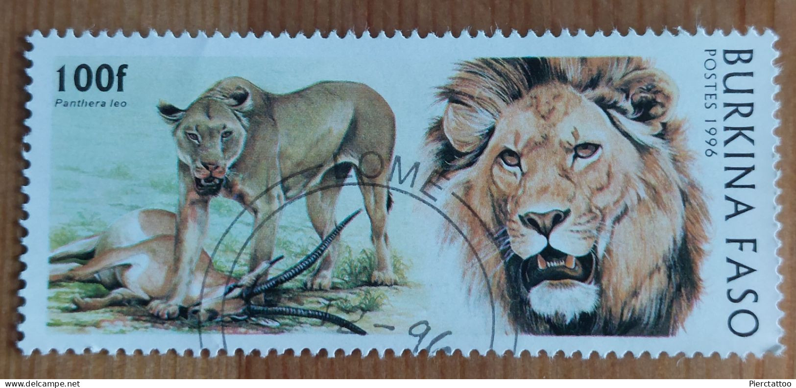 Lion (Animaux) - Burkina Faso - 1996 -YT 999 - Burkina Faso (1984-...)