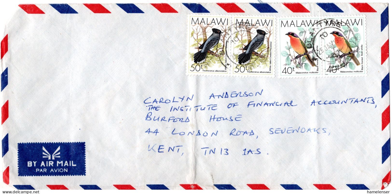L70681 - Malawi - 1995 - 2@50t Voegel MiF A LpBf BLANTYRE -> Grossbritannien - Malawi (1964-...)