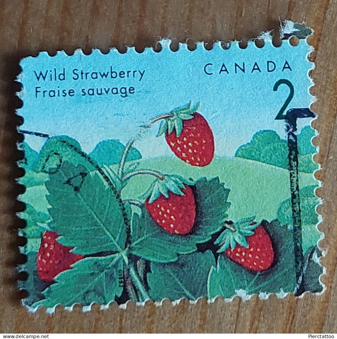 Fraise Sauvage (Fruit) - Canada - 1992 -YT 1263 - Oblitérés