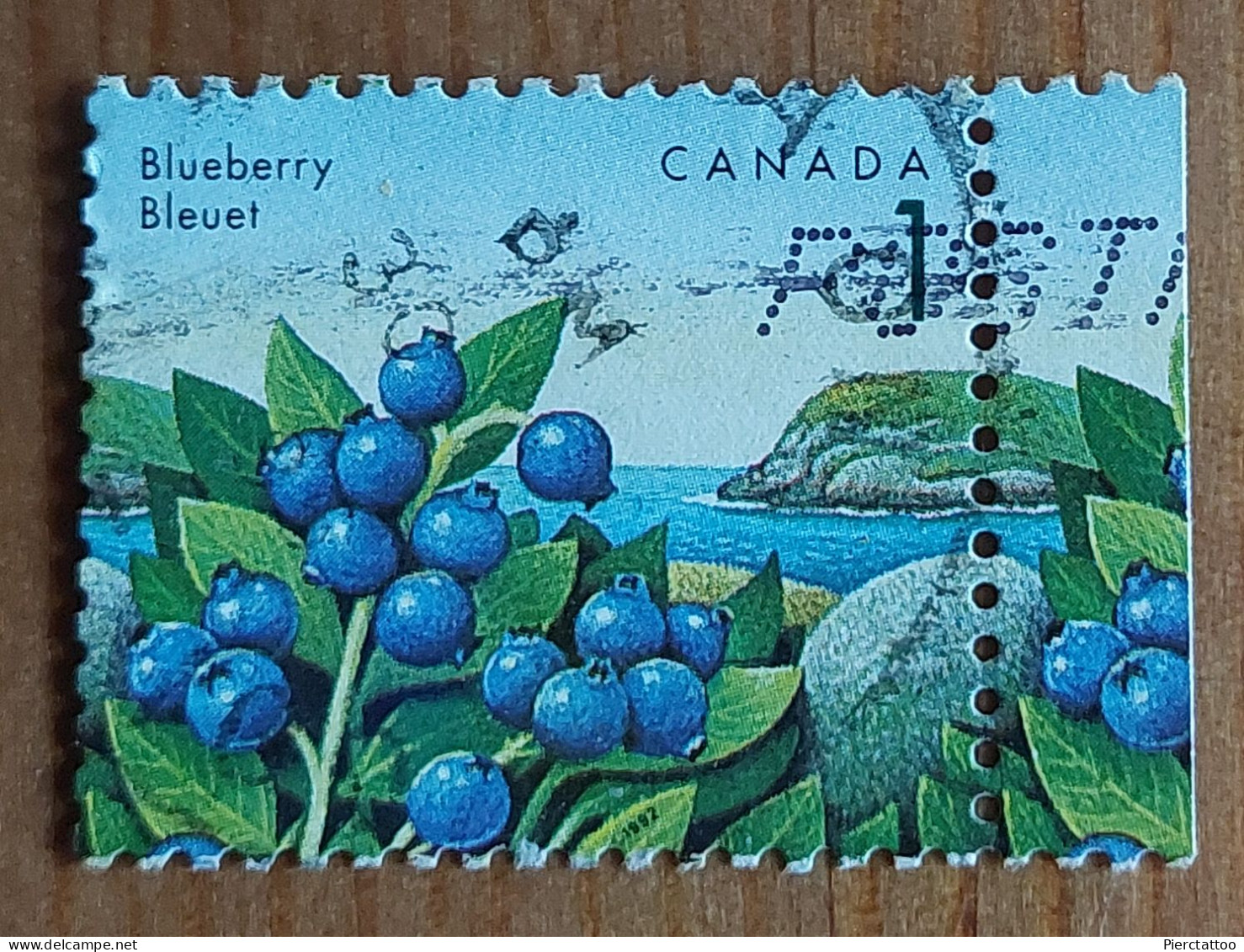 Bleuet (Fruit) - Canada - 1992 -YT 1262 - Oblitérés