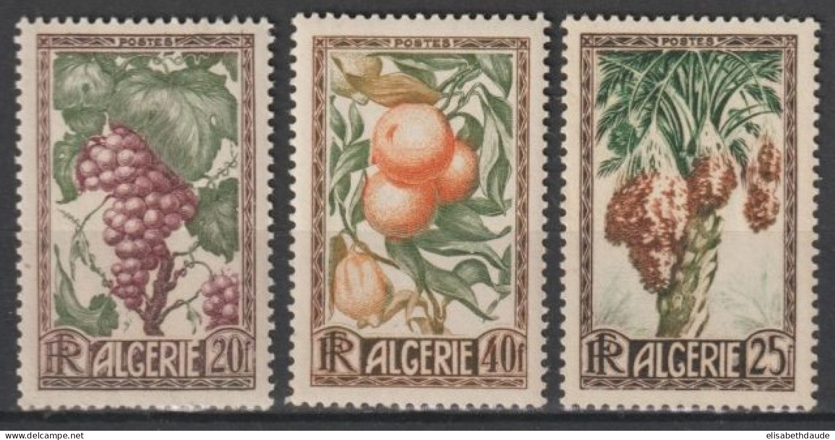 ALGERIE - 1950 - YVERT N°279/281 ** MNH - FRUITS - COTE 2022 = 19 EUR. - - Ongebruikt