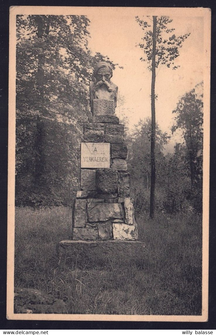 +++ CPA - CAILLOU QUI BIQUE - ROISIN - Monument Verhaeren // - Honnelles