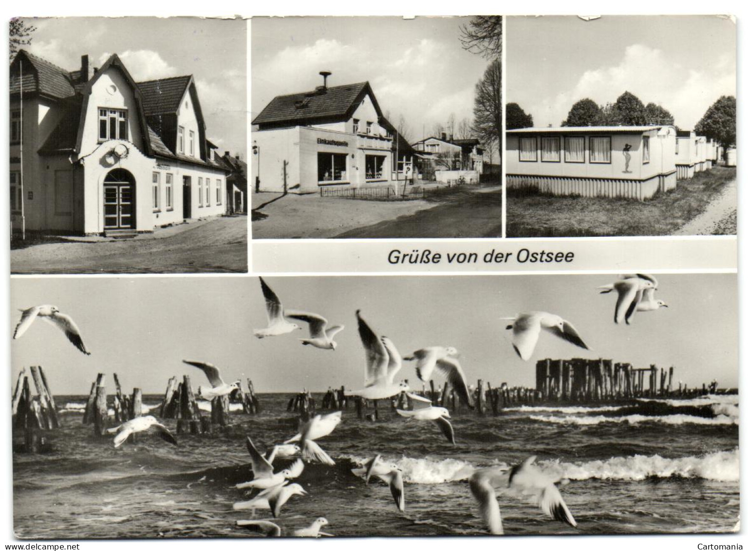 Wittenbeck (kr Bad Doberan) - Grüsse Von Der Ostsee - Bad Doberan
