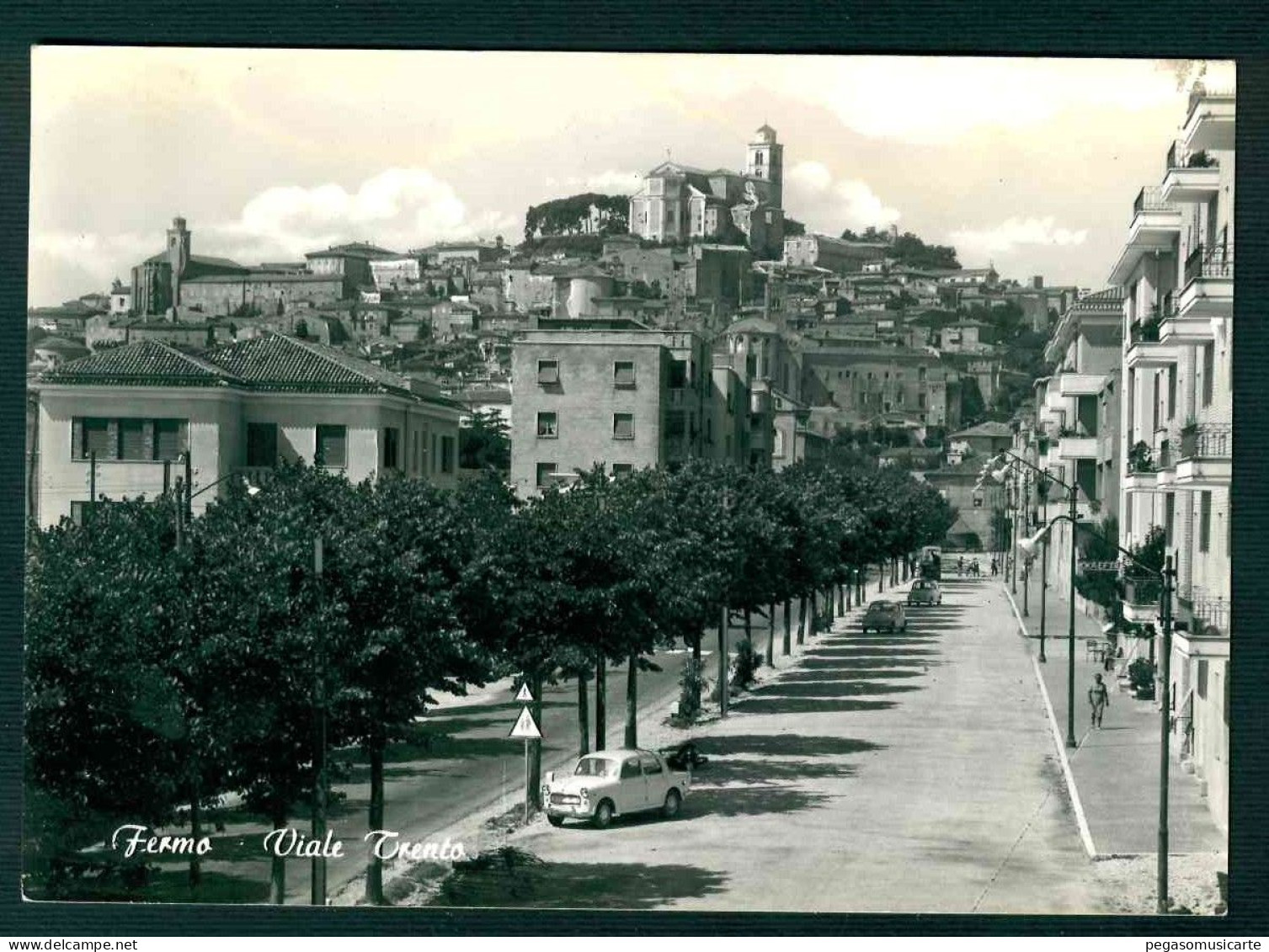 MT292 - FERMO - VIALE TRENTO - ANIMATA AUTO CAR - 1950 CIRCA - Fermo