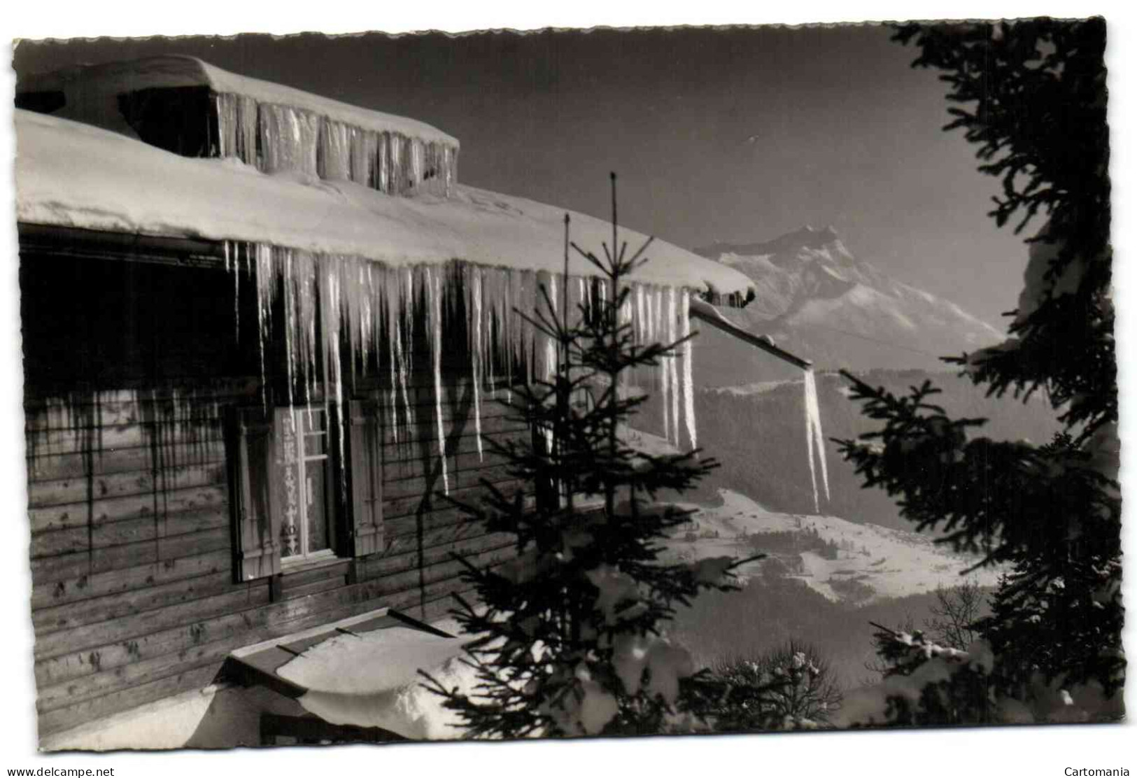 Leysin - Les Dents De Morcles En Hiver - Morcles