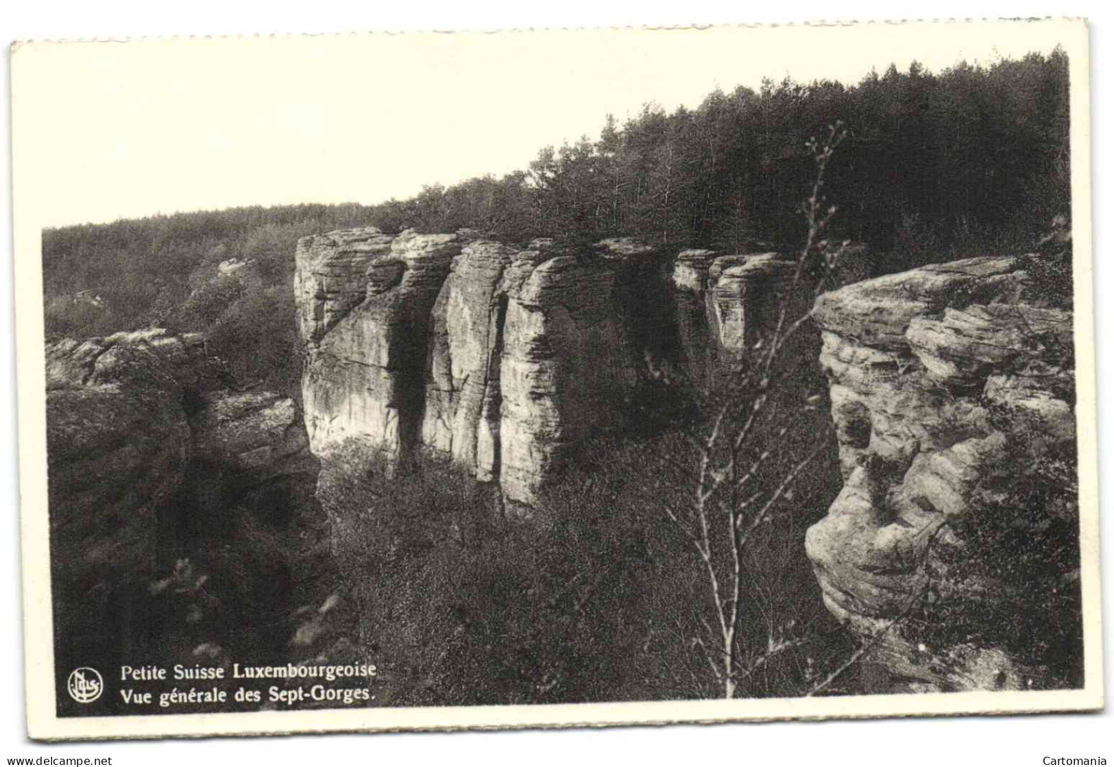 Petite Suisse Luxembourgeoise - Vue Générale Des Sept-Gorges - Muellerthal