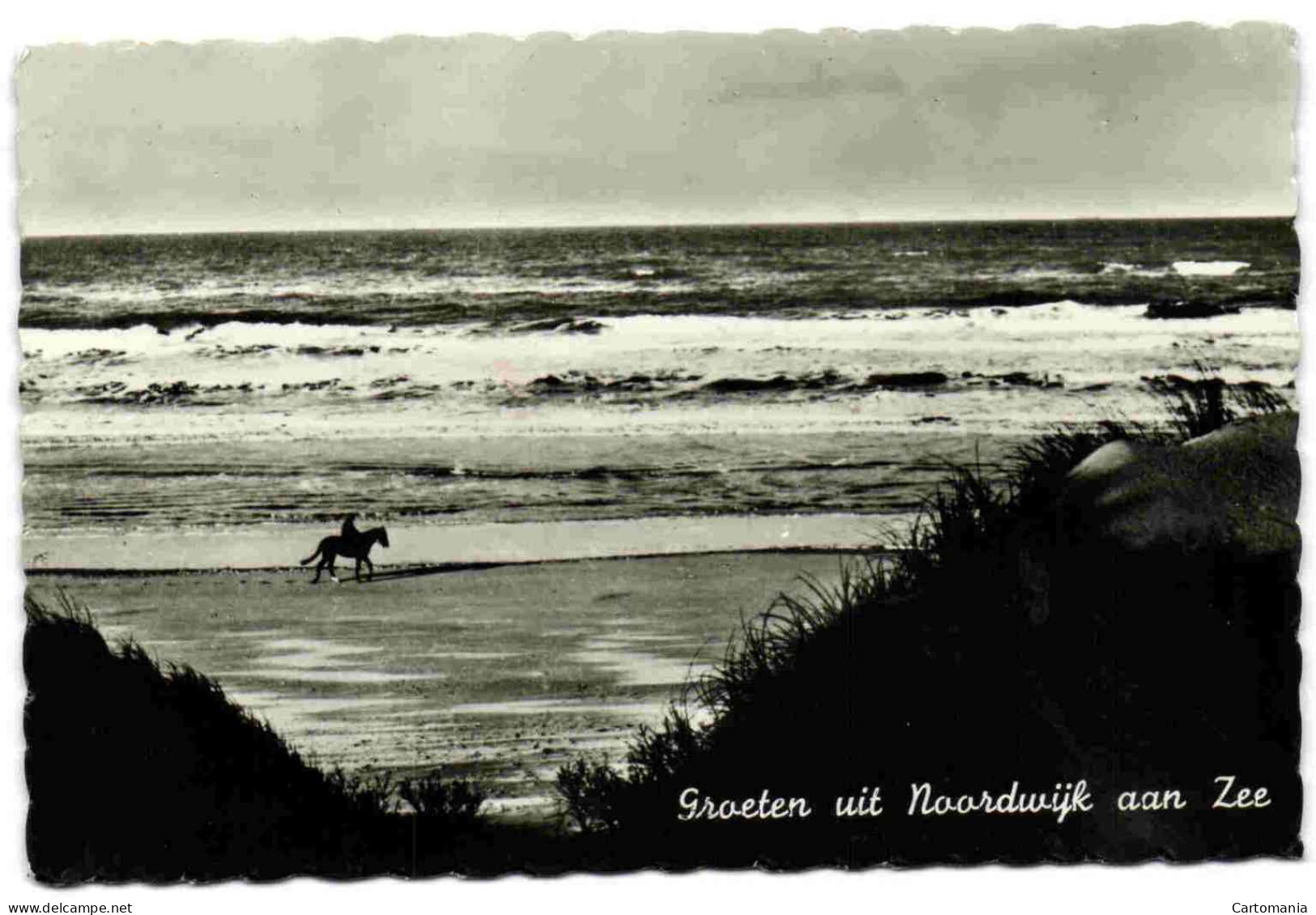 Groeten Uit Noordwijk Aan Zee - Noordwijk (aan Zee)