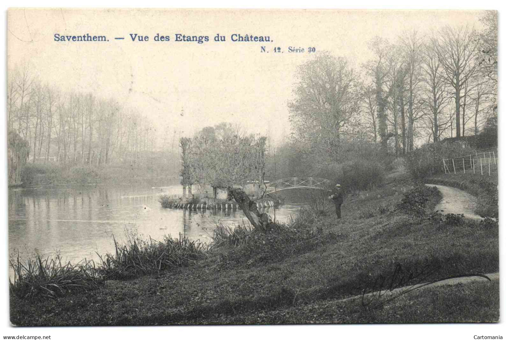 Vue Des Etangs Du Château - Zaventem