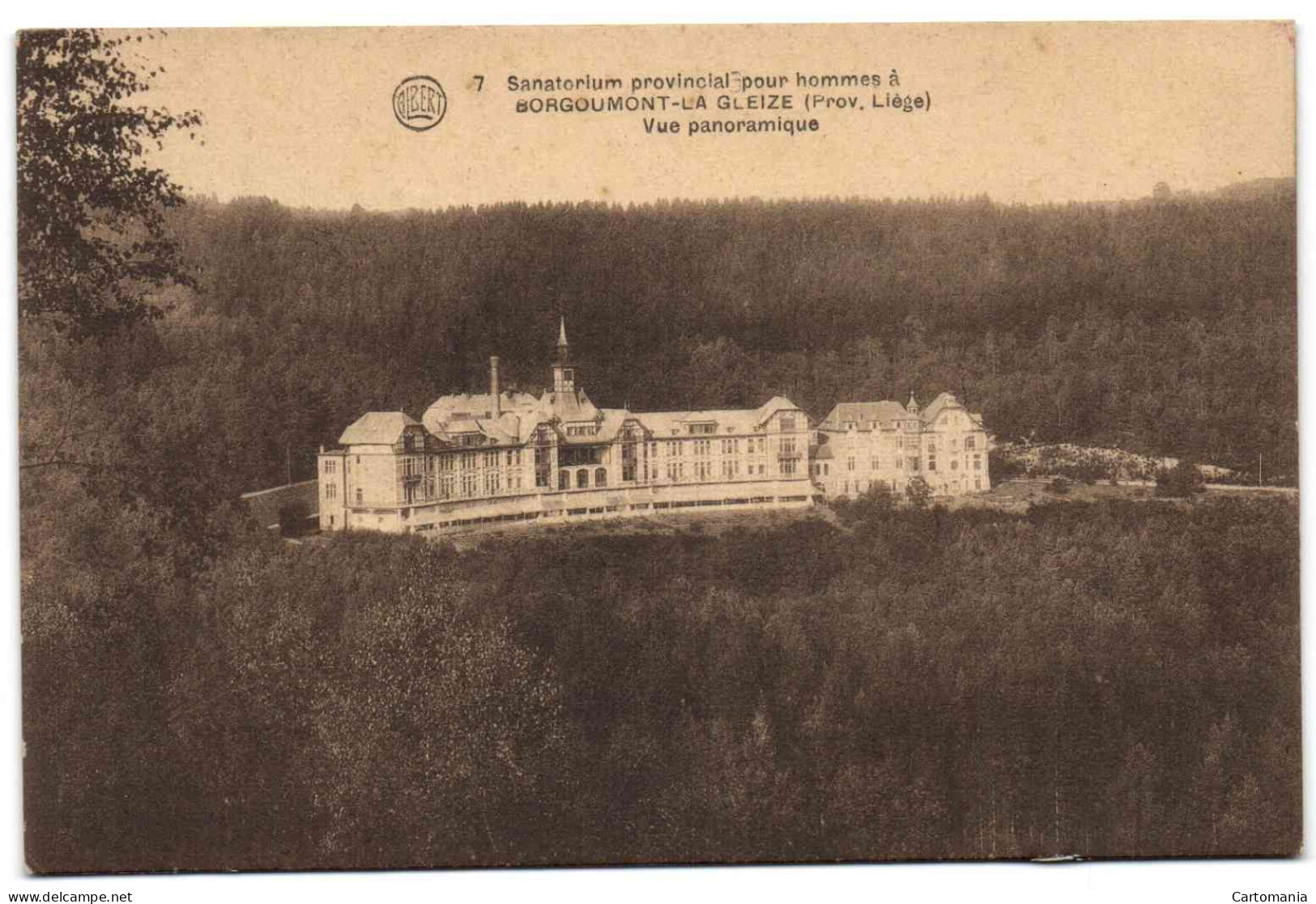 Borgoumont-la-Gleize - Sanatorium Provincial Pour Hommes - Stoumont