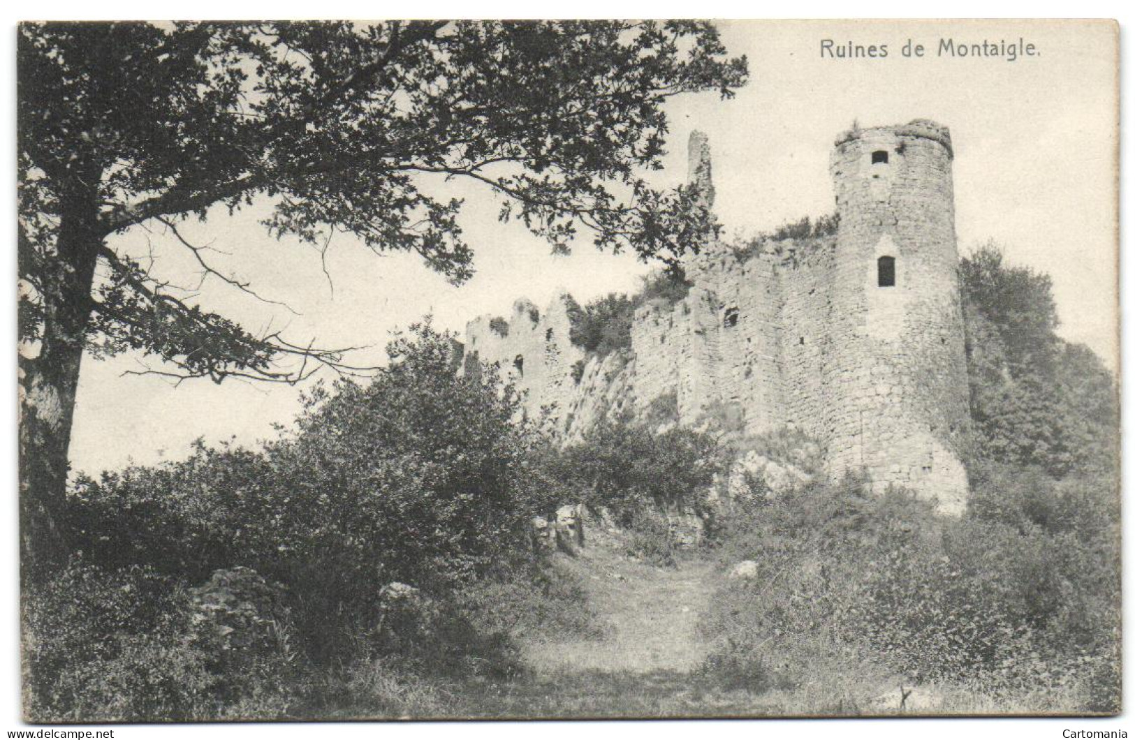 Ruines De Montaigle (Nels Série 51 N° 20) - Onhaye