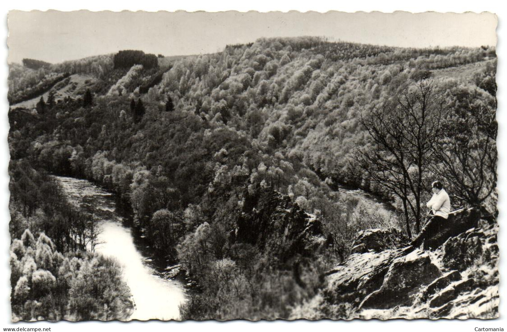 Nandrin - Vue Sur L'Ourthe Des Rochers Du Hérou - Nandrin