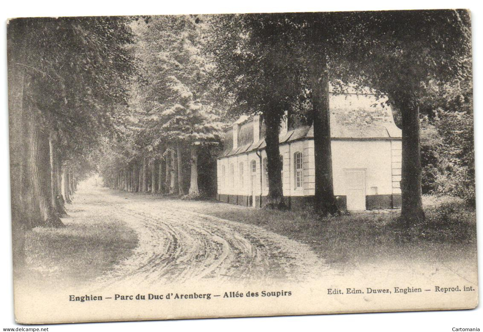 Enghien - Parc Du Duc D'Arenberg - Allée Des Soupirs (Ed. Duwez) - Enghien - Edingen