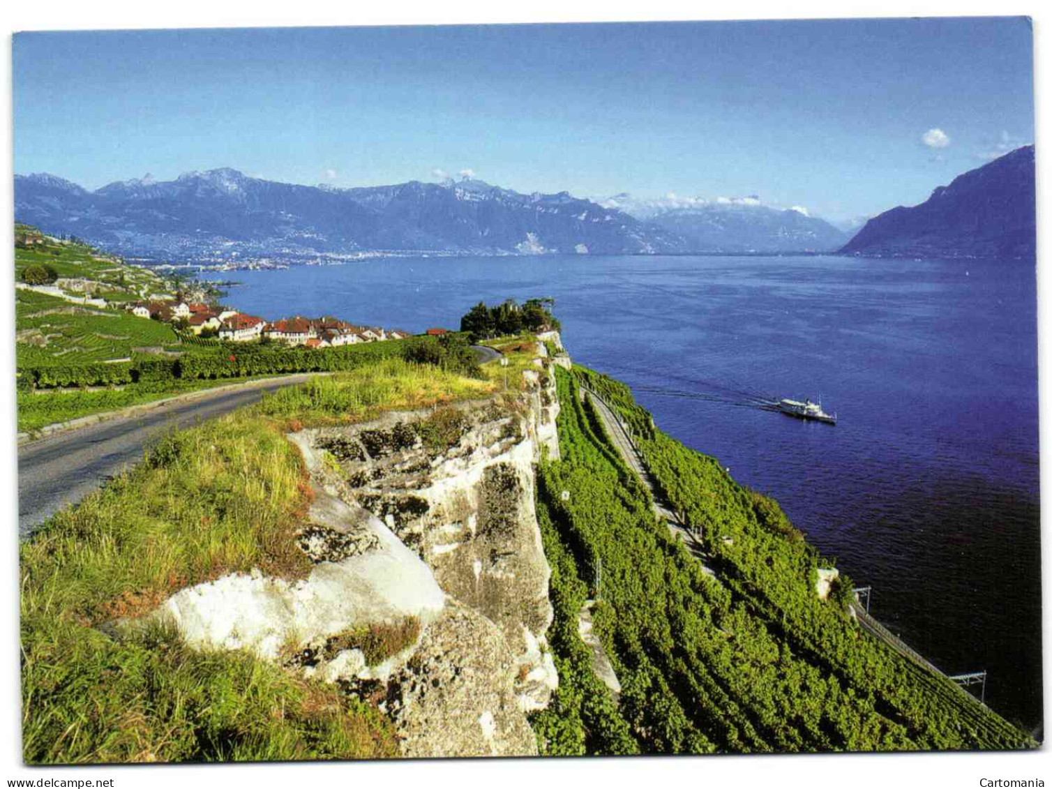 Vignobles De Lavaux - Village De Rivaz - Lac Léman - Rivaz