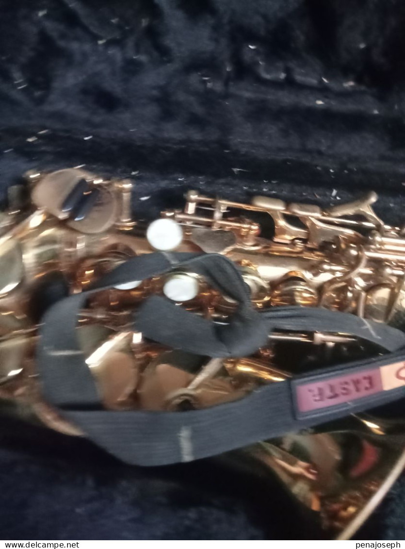 saxophone stagg 77-ssc soprano trés peu servi avec malette