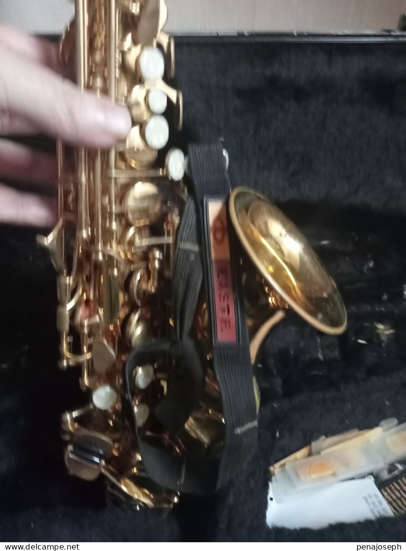 saxophone stagg 77-ssc soprano trés peu servi avec malette