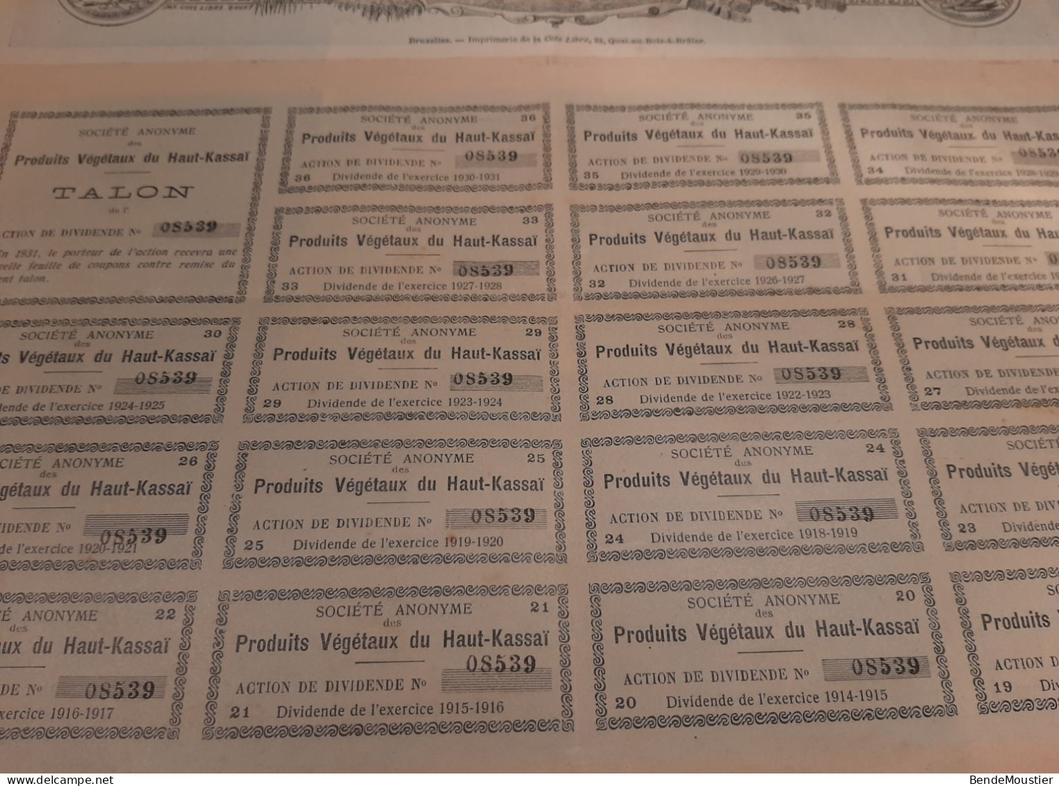 S.A. Des Produits Végétaux Du Haut-Kassaï - Action De Dividende Au Porteur - Iseghem 15 Novembre 1895. - Africa