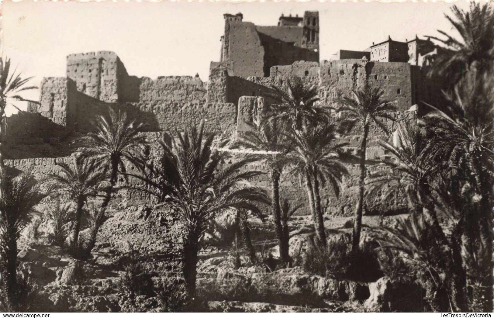 MAROC - Sud Marocain - Kasbah Et Palmeraie  - Carte Postale Ancienne - Sonstige & Ohne Zuordnung