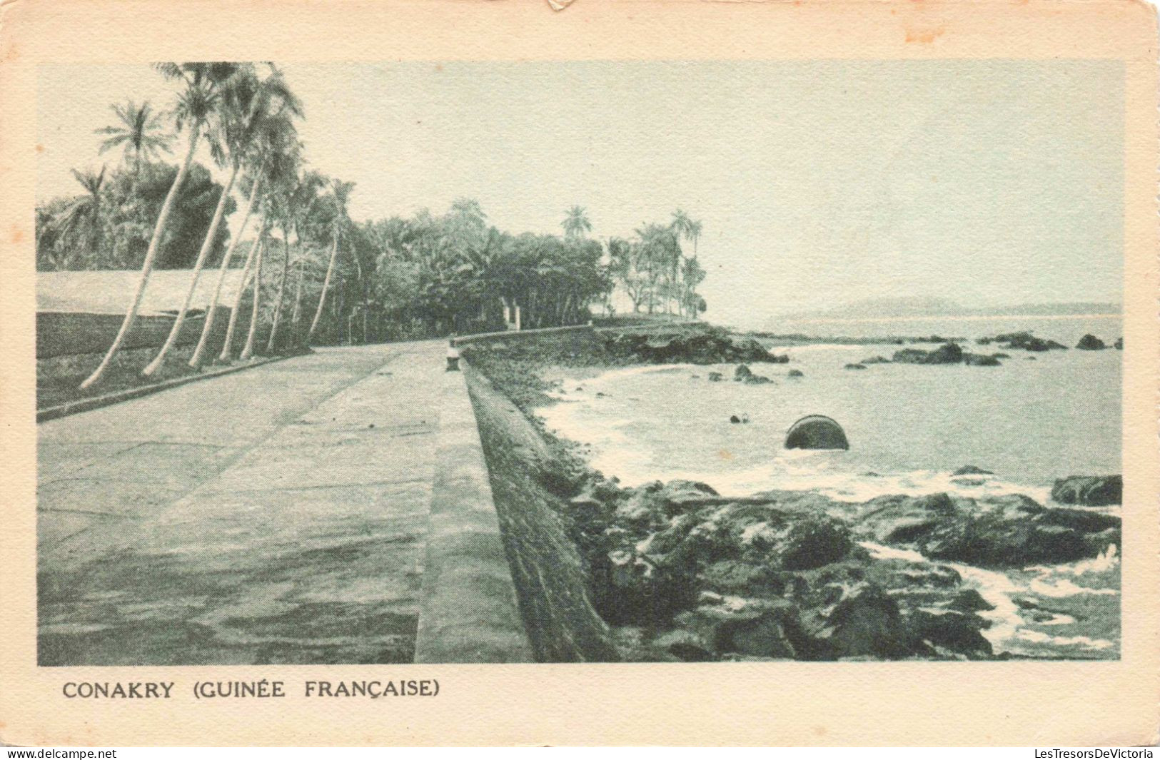GUINEE Française  - Conakry (Guinée Française) - Carte Postale Ancienne - Guinée Française