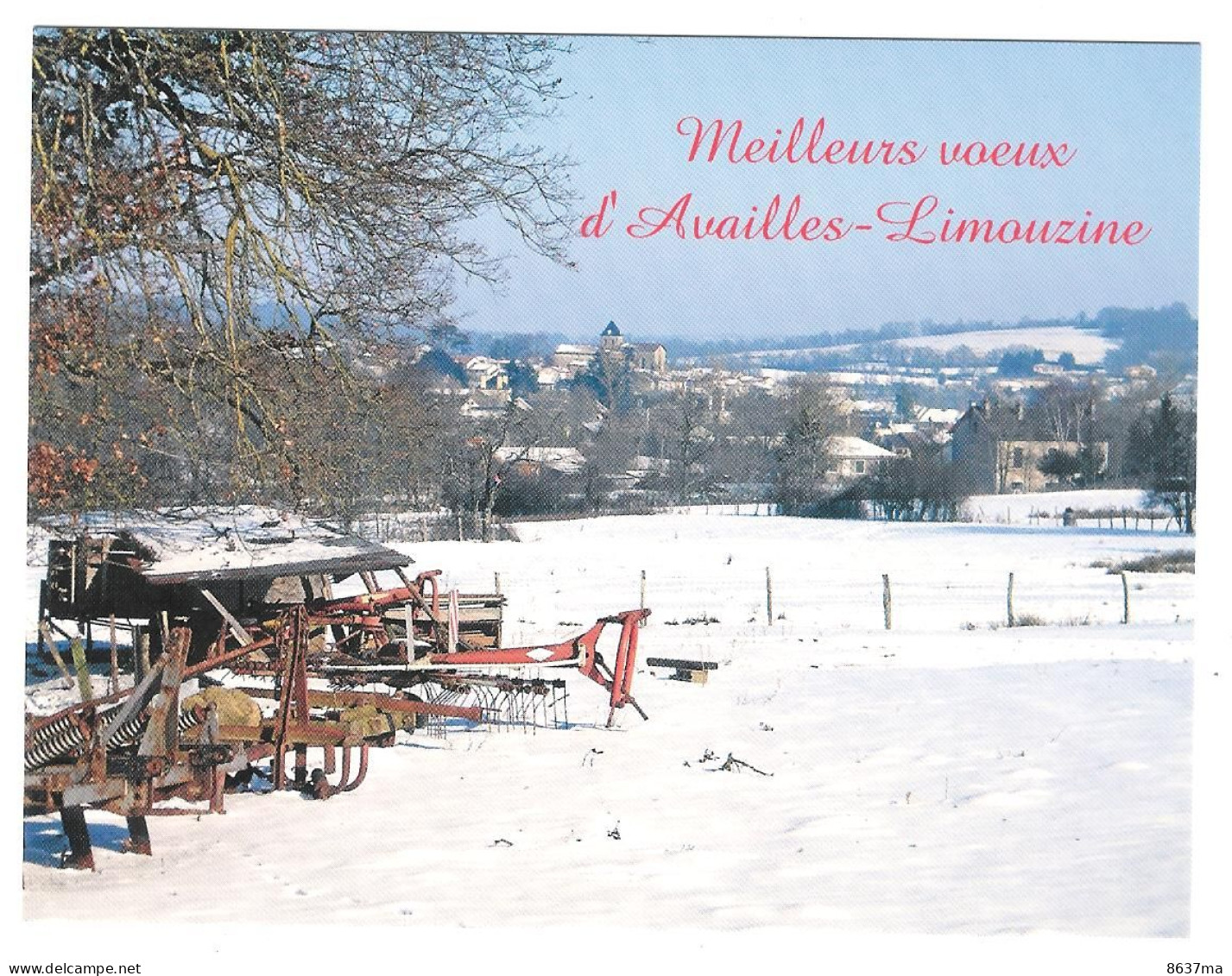 AVAILLES-LIMOUZINE-Vue Générale - Availles Limouzine