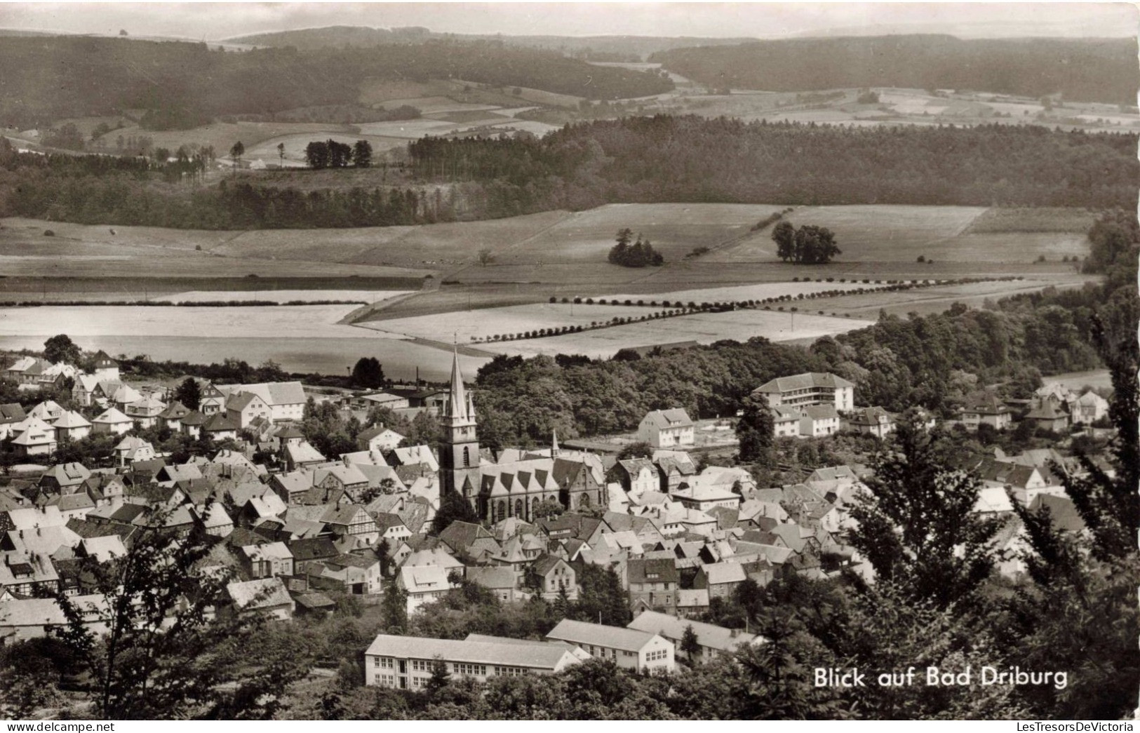 ALLEMAGNE - Blick Auf Bad Driburg - Carte Postale Ancienne - Bad Driburg