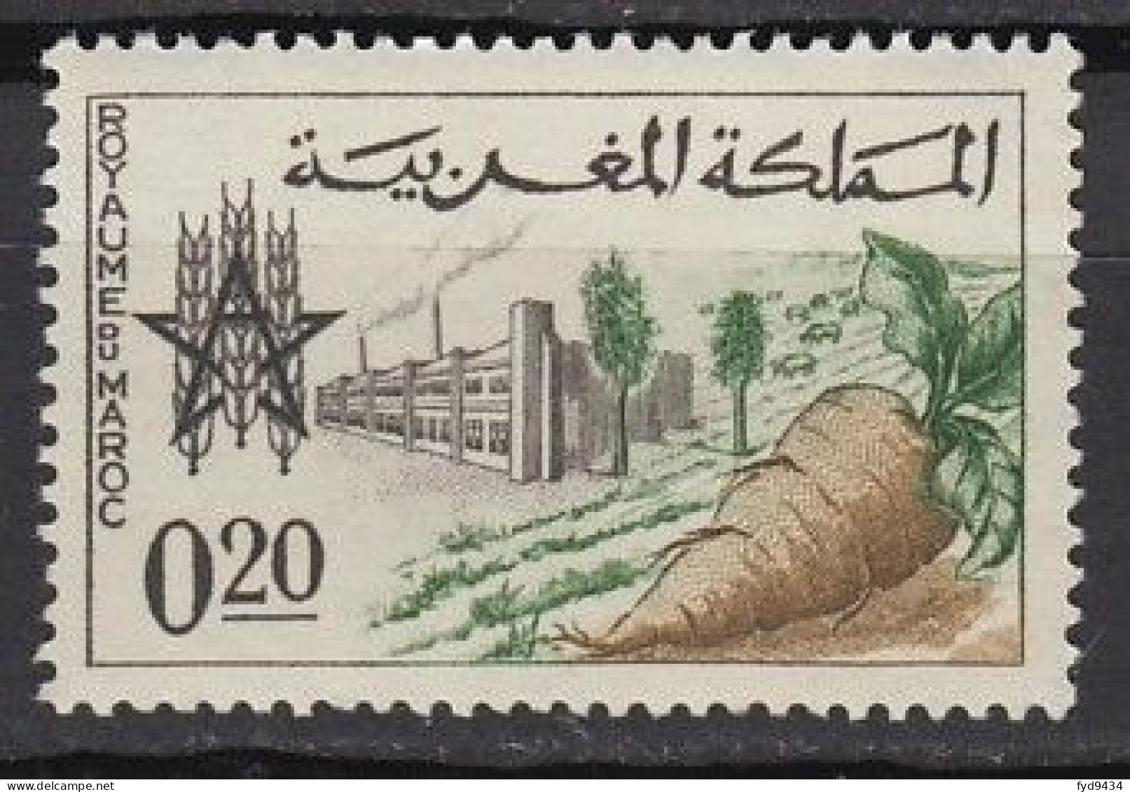 N° 459 Du Maroc - X X - ( E 1716 ) - Vegetazione