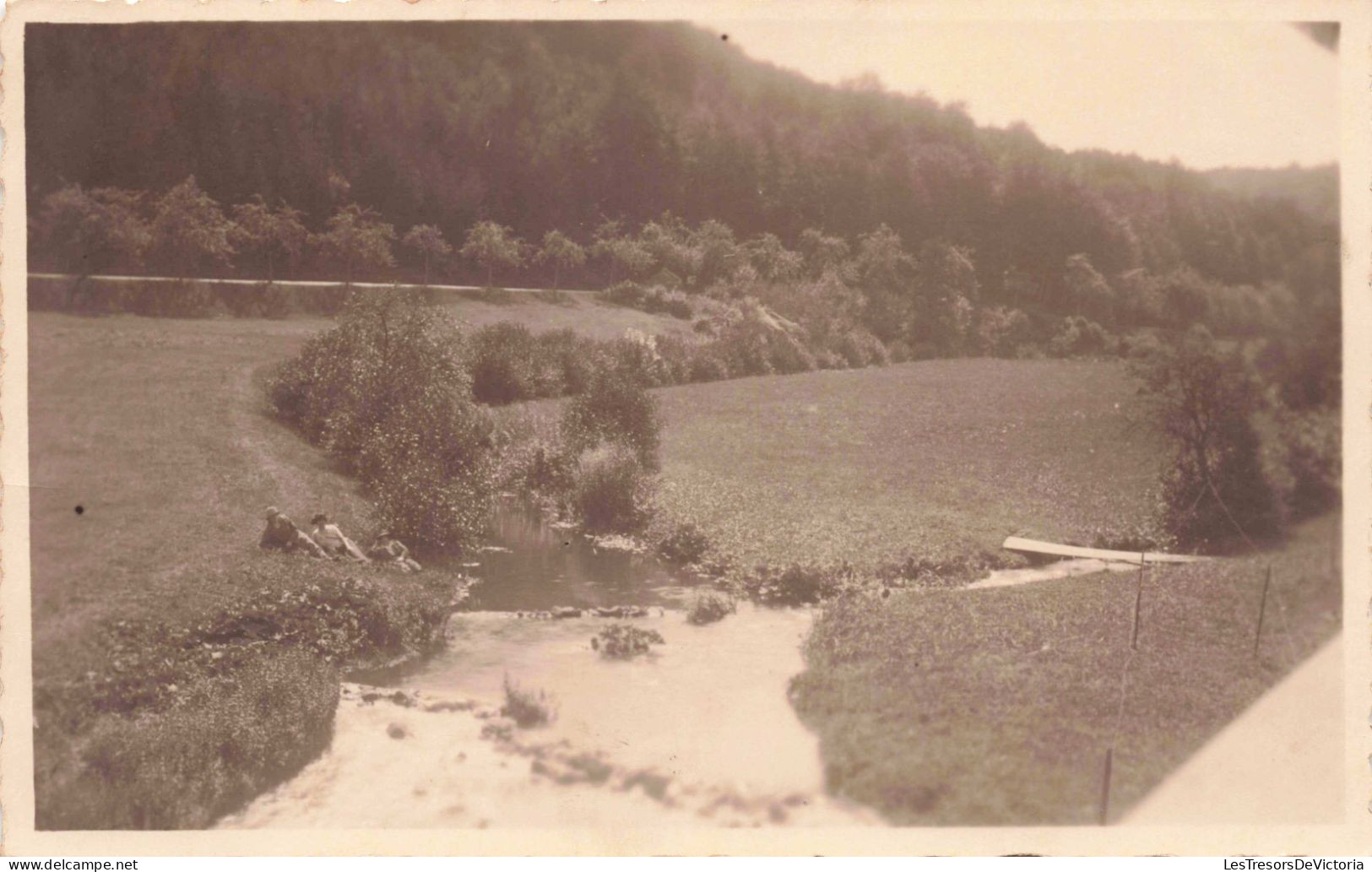 A Identifier - Paysage - Vallée - Prairie  - Carte Postale Ancienne - A Identifier