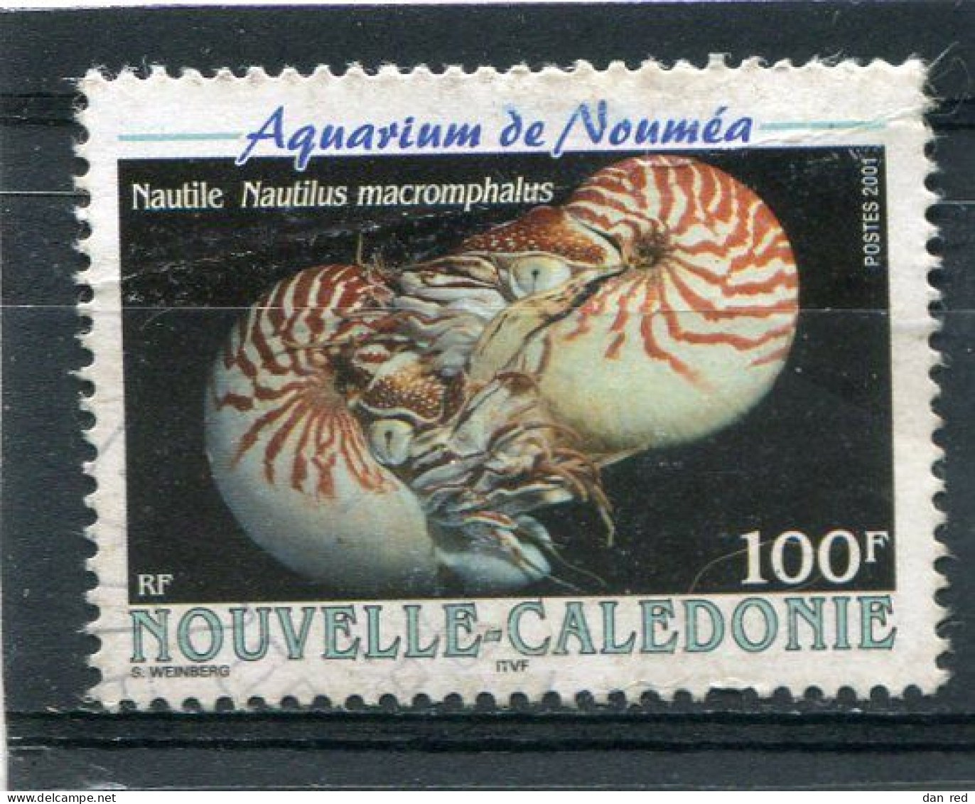 NOUVELLE CALEDONIE  N°  840  (Y&T)  (Oblitéré) - Oblitérés