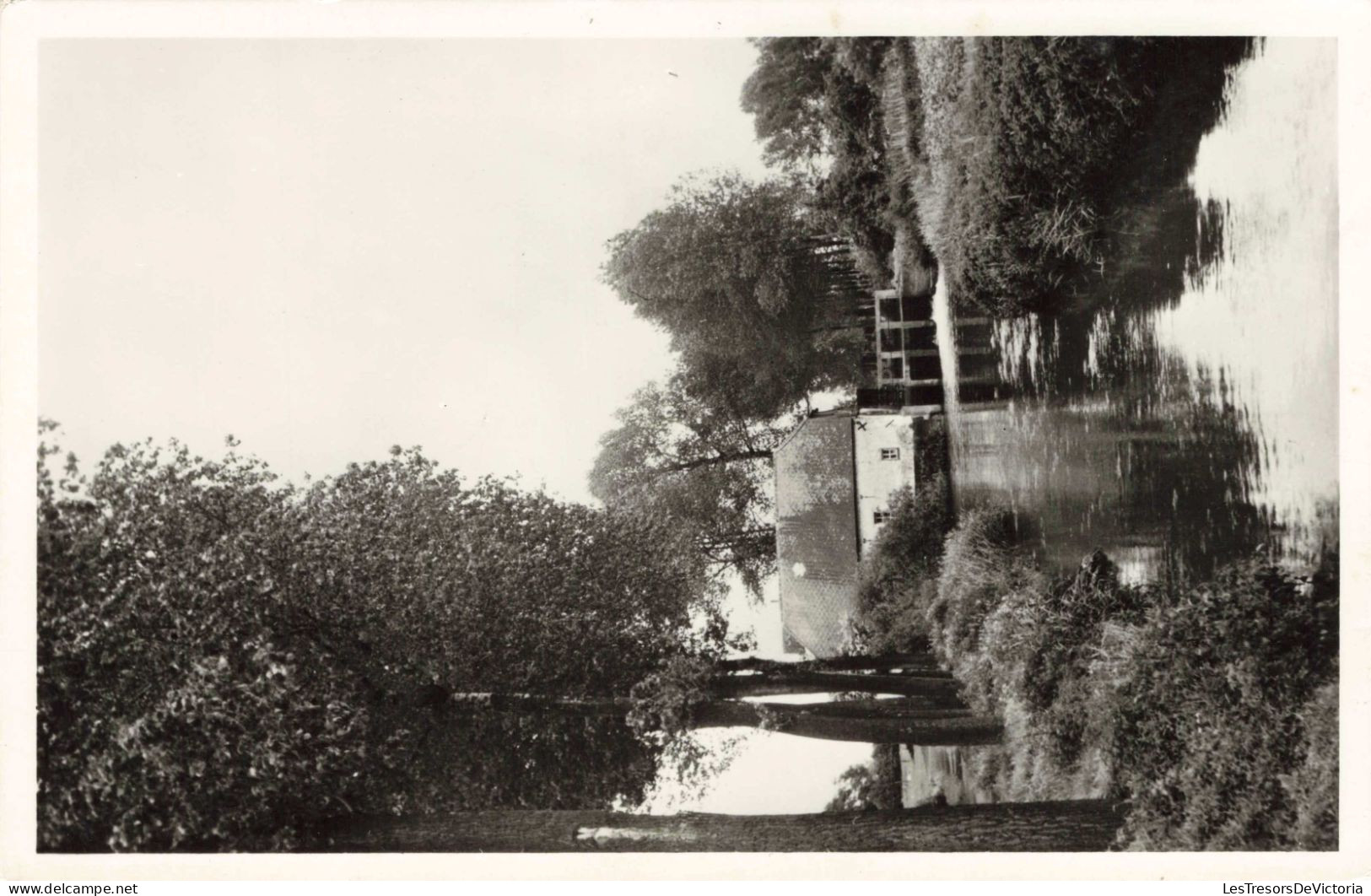 BELGIQUE - Hasselt - Demermolen Te Kuringen - Carte Postale Ancienne - Hasselt